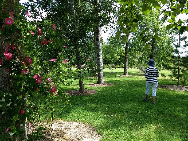 206 foto MVervoorn 2019-06-13 11.40.35.jpg